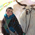 少年登巴—雪山 草地 美丽传说漫画免费阅读_少年登巴—雪山 草地 美丽传说在线漫画观看